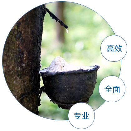 5abc940e42680.png 圓.png